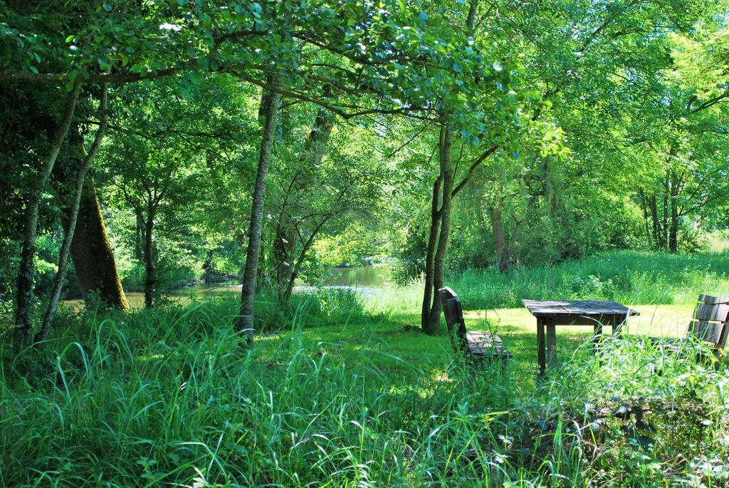 Bed and Breakfast Domaine Les Gandins Saint-Germain-de-Salles Exterior foto